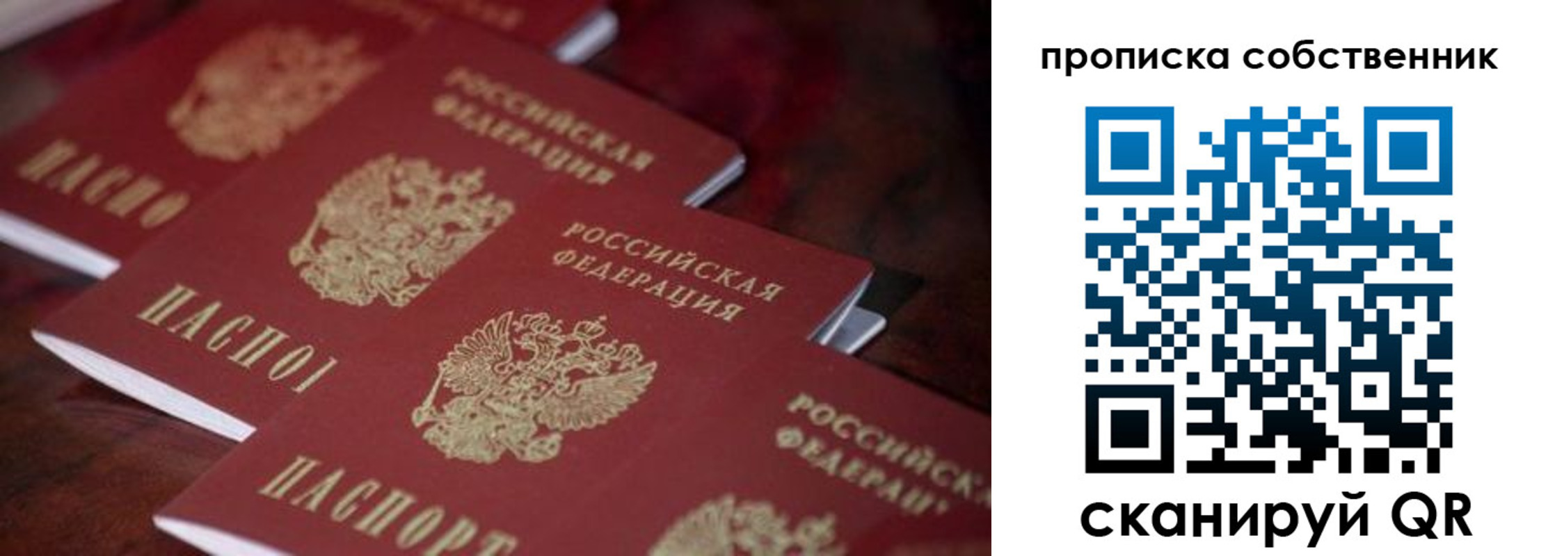 купить прописку в Чкаловске